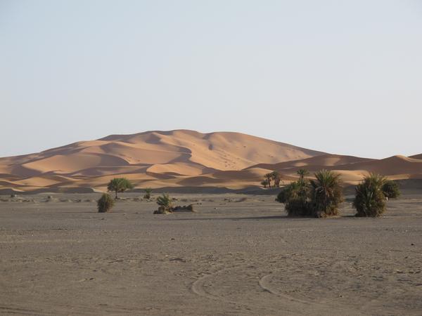 Les dunes de l’Erg Chebbi són un grandiós espectacle